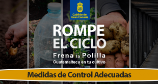 Coag Canarias Medidas de Control polilla guatemalteca